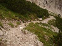 2014-08-02_06FritzPflaum-Steig (371).JPG
